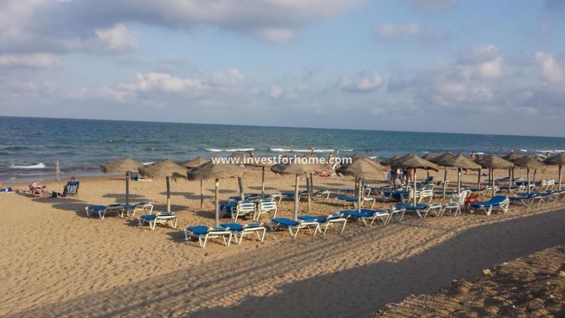 Vente - Bungalow - Torrevieja - Torrelamata - La Mata