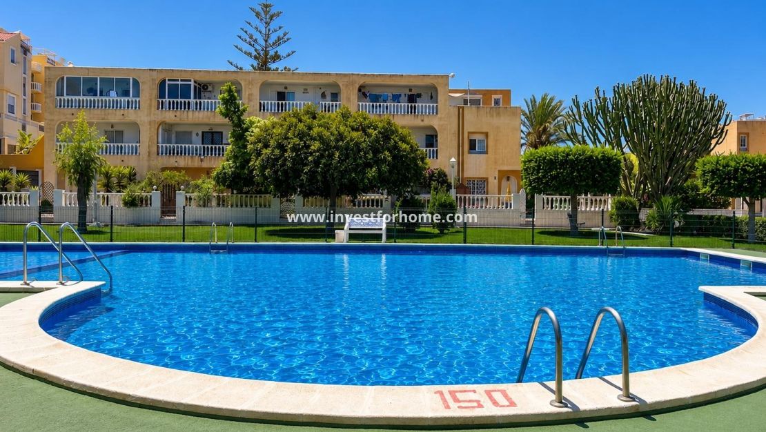 Vente - Bungalow - Torrevieja - Torrelamata - La Mata