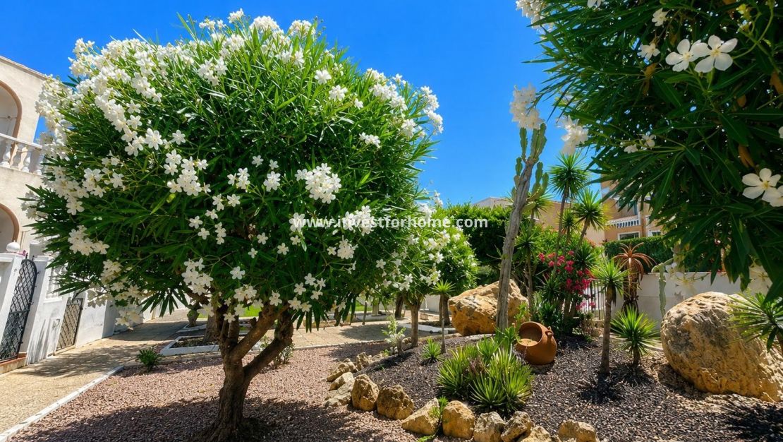 Vente - Bungalow - Torrevieja - Torrelamata - La Mata