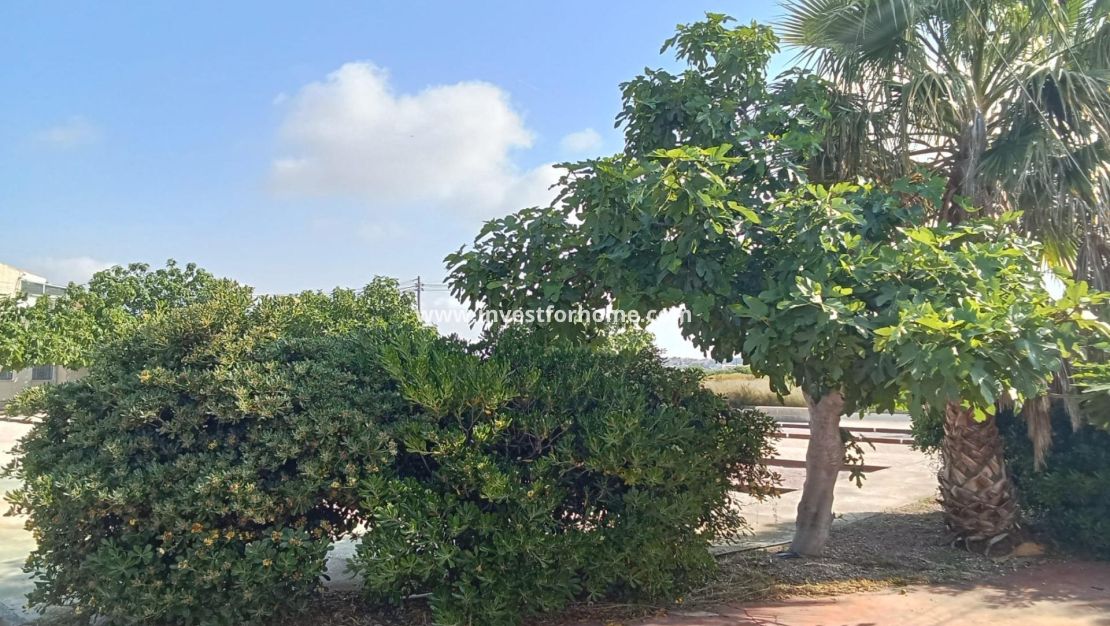 Vente - Bungalow - Torrevieja - Torreta Florida