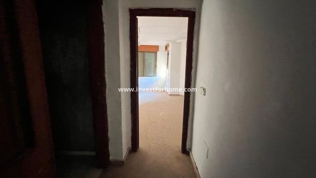 Vente - Maison - Catral - Avda Principal