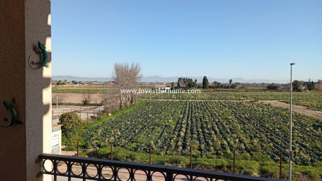 Vente - Maison - Daya vieja - Costa Blanca