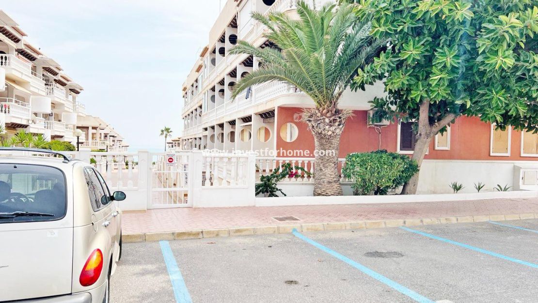 Vente - Maison - Guardamar del Segura - Benamor