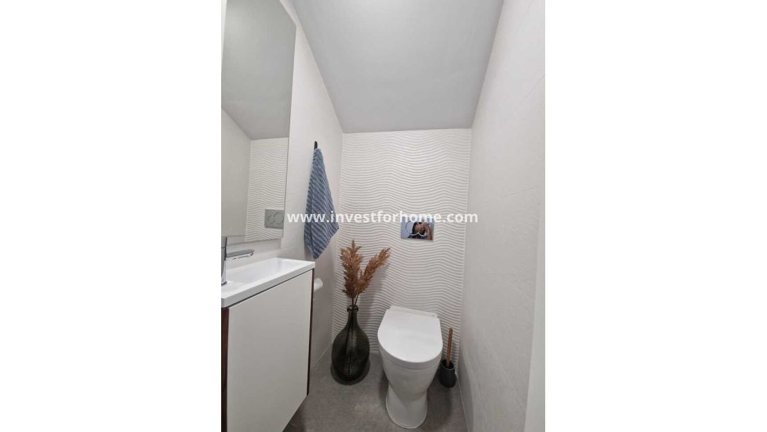 Vente - Maison - Guardamar del Segura - ELS SECONS