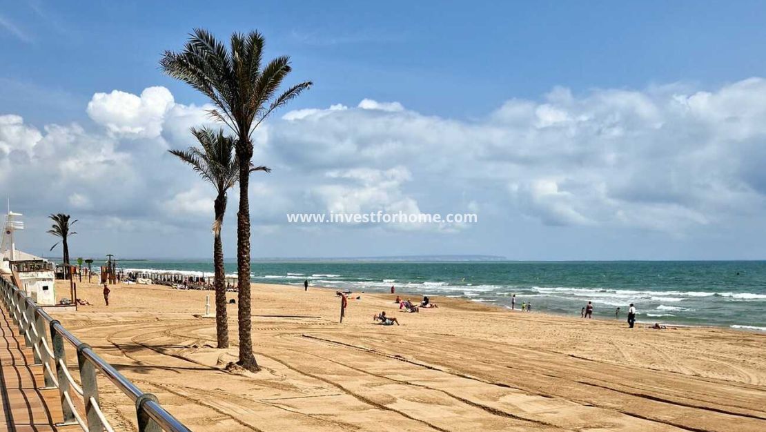 Vente - Maison - Guardamar del Segura - ELS SECONS