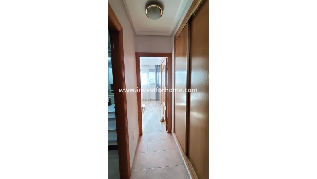Vente - Maison - Guardamar del Segura - Urbanizaciones
