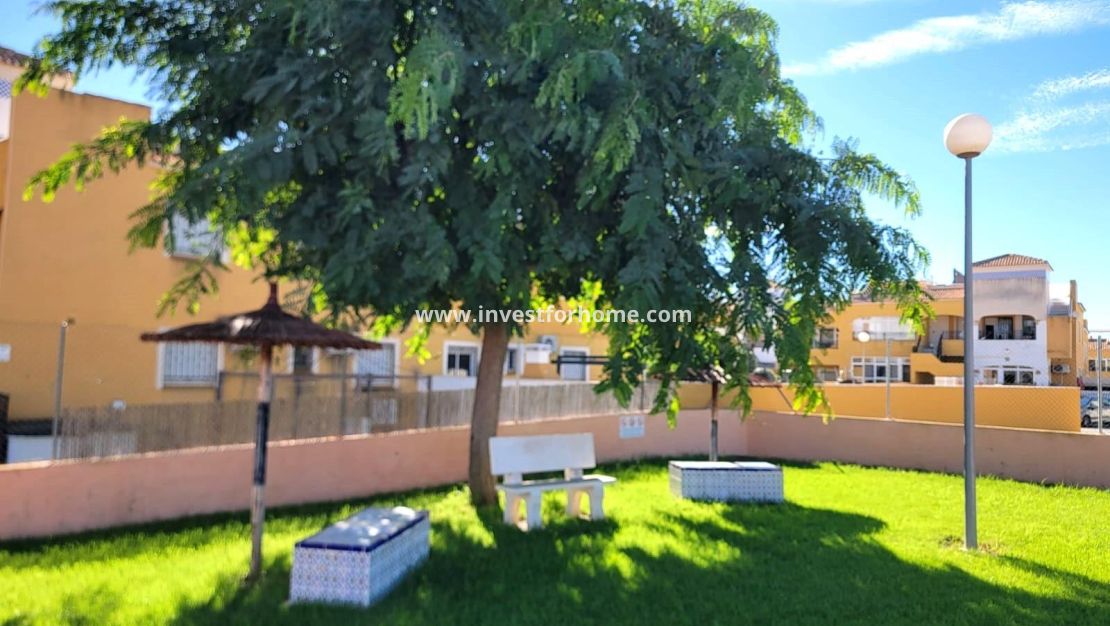 Vente - Maison - Los Montesinos - Los Montesinos - Urb. La Herrada