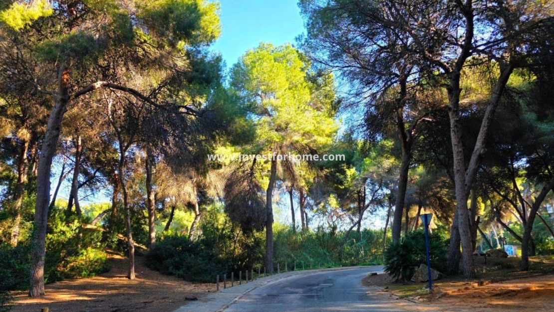 Vente - Maison - Orihuela Costa - Altos De Campoamor