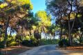 Vente - Maison - Orihuela Costa - Altos De Campoamor