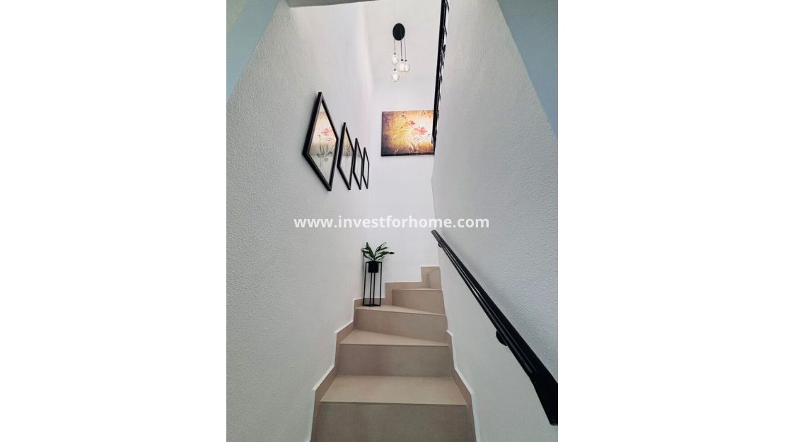 Vente - Maison - Orihuela Costa - Costa Blanca