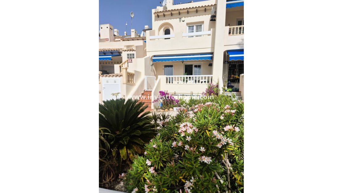 Vente - Maison - Orihuela Costa - Inland