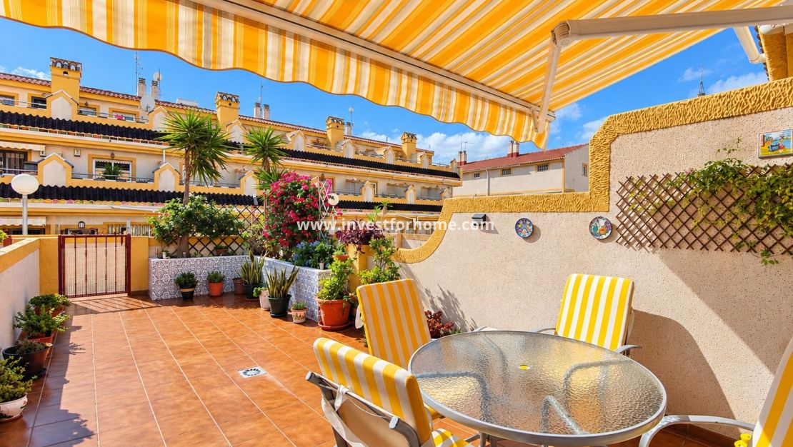 Vente - Maison - Orihuela Costa - La Florida