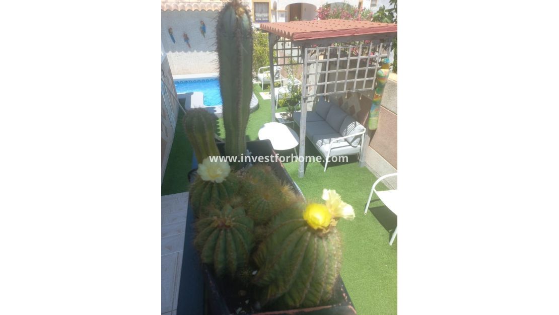 Vente - Maison - Orihuela Costa - Los Almendros-la Florida