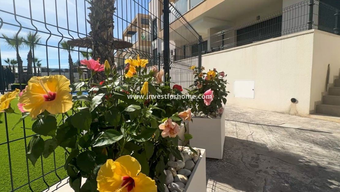 Vente - Maison - Orihuela Costa - Villamartín