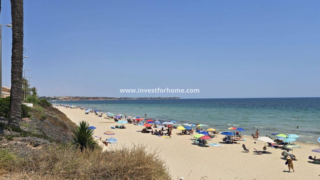 Vente - Maison - Pilar de la Horadada - Mil Palmeras