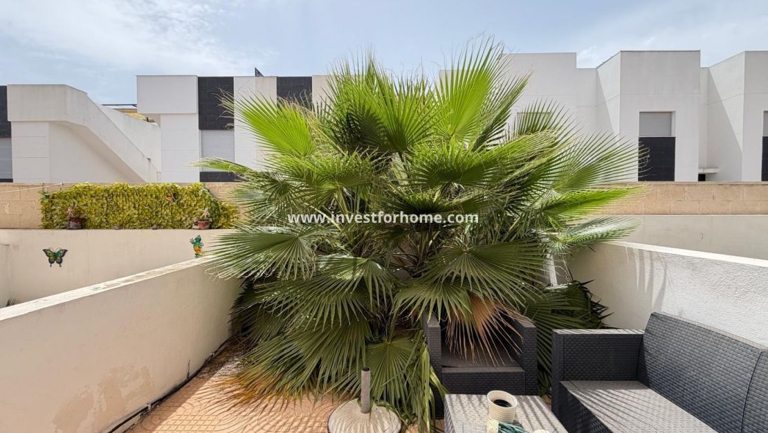 Vente - Maison - Rojales - Lo Marabu