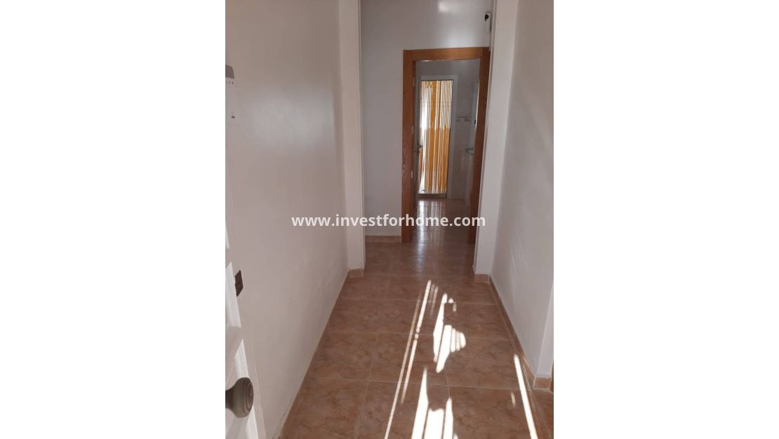 Vente - Maison - San Javier - Centro