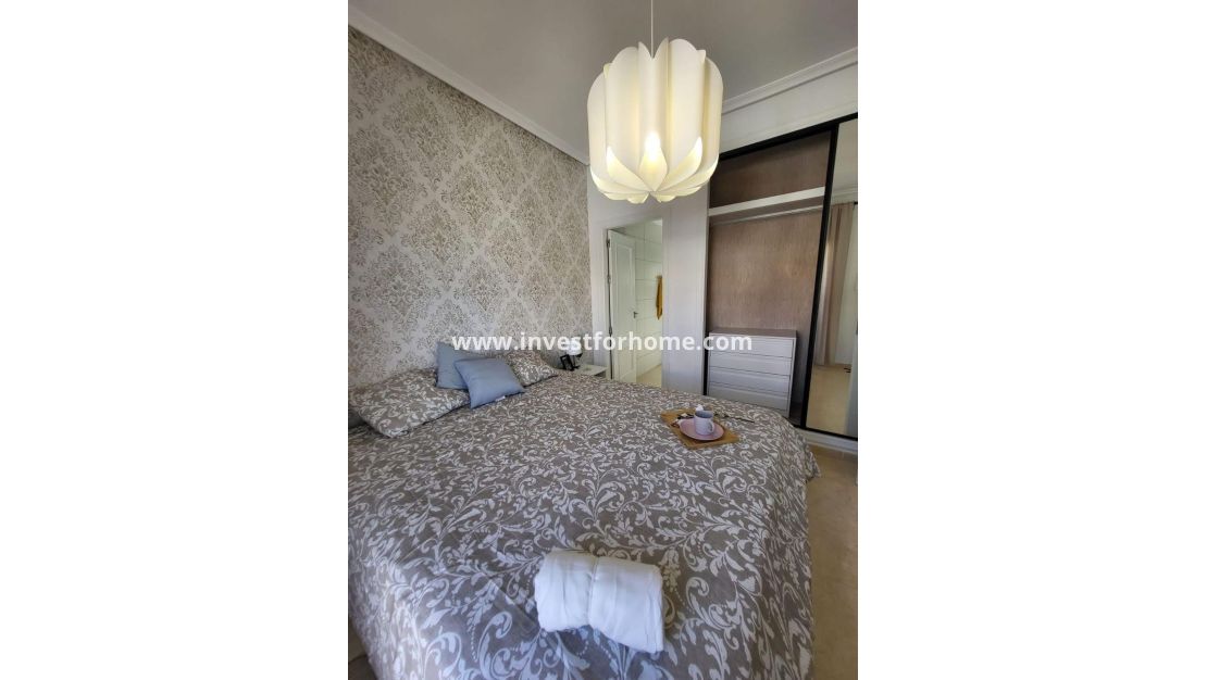 Vente - Maison - San Miguel de Salinas - Ciudad De Las Comunicaciones