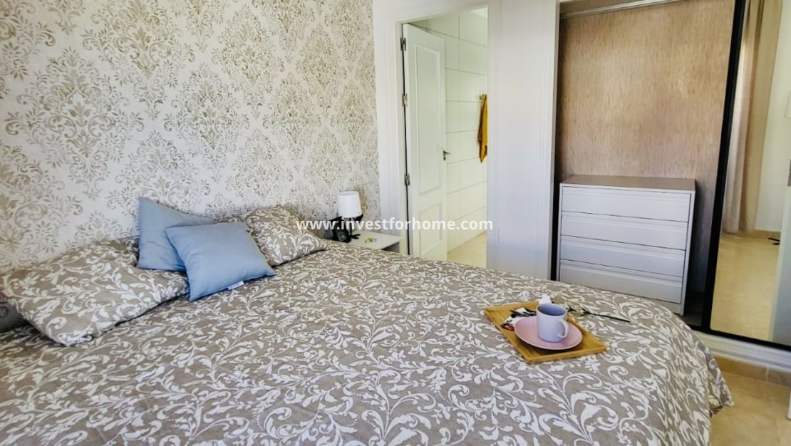 Vente - Maison - San Miguel de Salinas - Inland