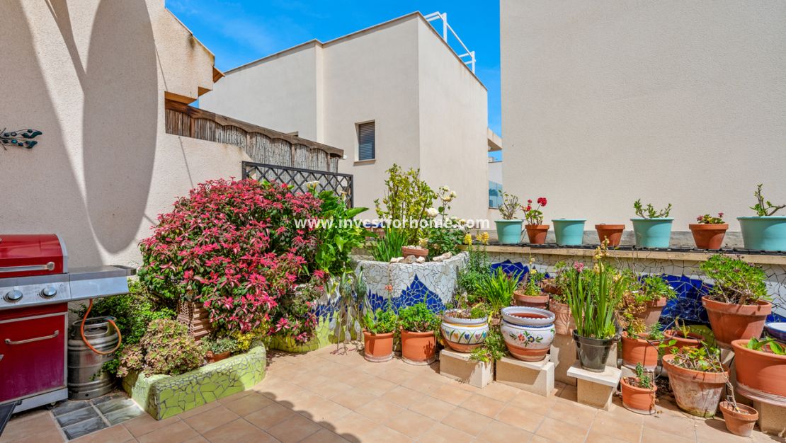 Vente - Maison - San Miguel de Salinas - Inland