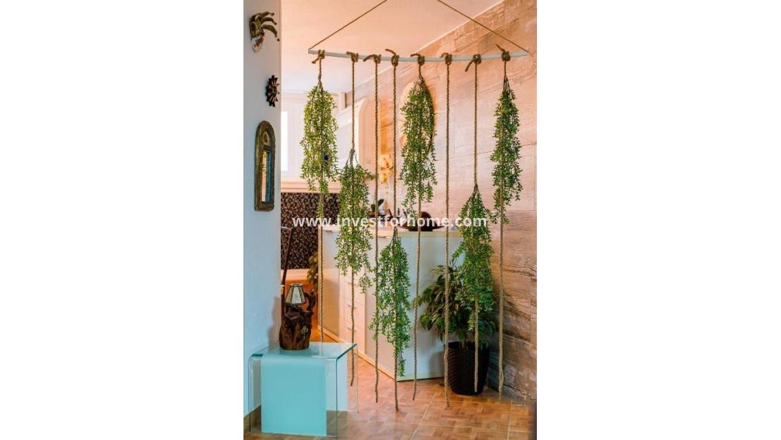 Vente - Maison - Torrevieja - Centro