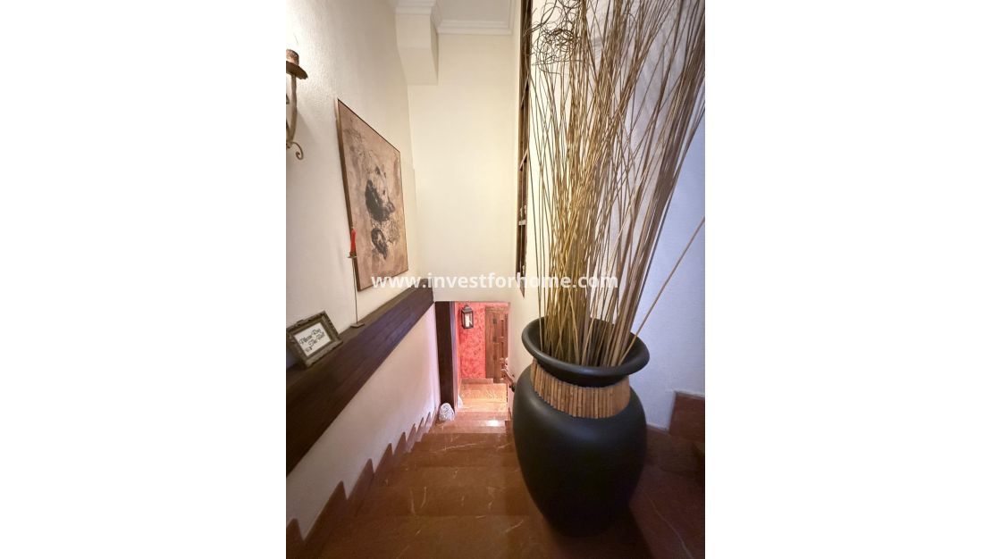 Vente - Maison - Torrevieja - Centro