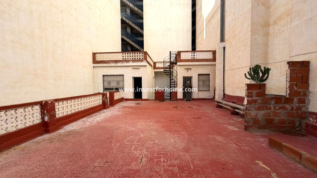 Vente - Maison - Torrevieja - Centro