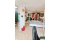 Vente - Maison - Torrevieja - Centro