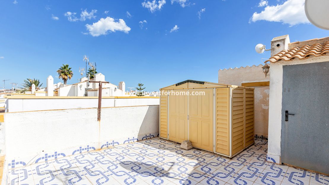 Vente - Maison - Torrevieja - Costa Blanca