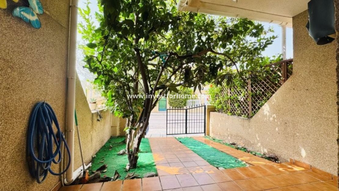 Vente - Maison - Torrevieja - Costa Blanca