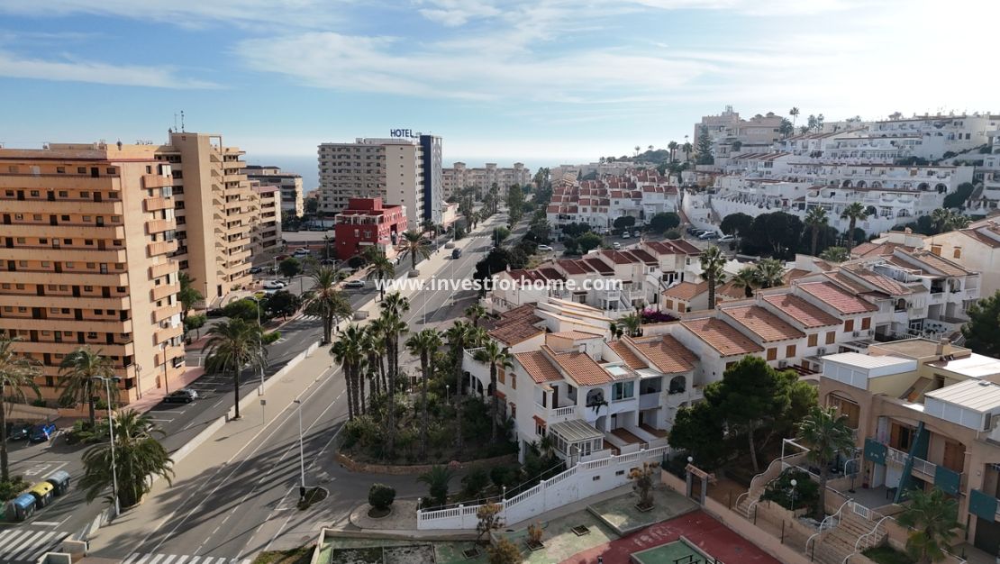 Vente - Maison - Torrevieja - Costa Blanca