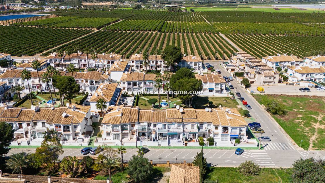 Vente - Maison - Torrevieja - Costa Blanca