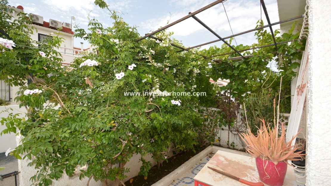 Vente - Maison - Torrevieja - Costa Blanca
