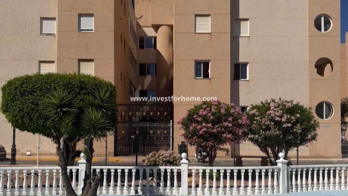 Vente - Maison - Torrevieja - Costa Blanca