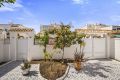 Vente - Maison - Torrevieja - Jardín del Mar