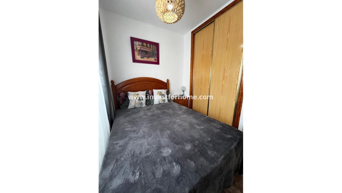 Vente - Maison - Torrevieja - La Florida