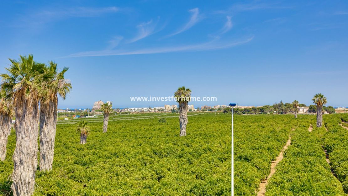 Vente - Maison - Torrevieja - La Siesta-El Chaparral