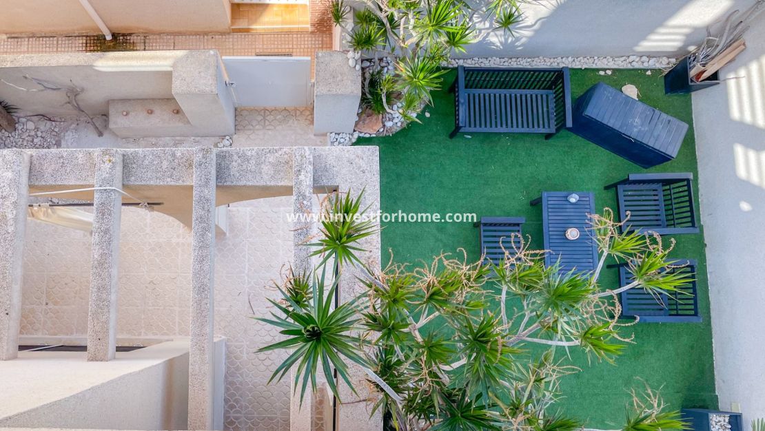 Vente - Maison - Torrevieja - La Siesta