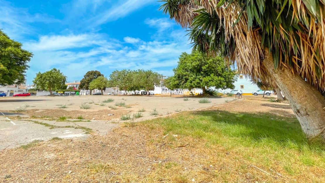 Vente - Maison - Torrevieja - La Siesta