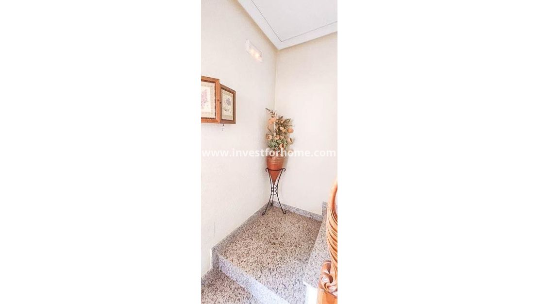 Vente - Maison - Torrevieja - Los Altos