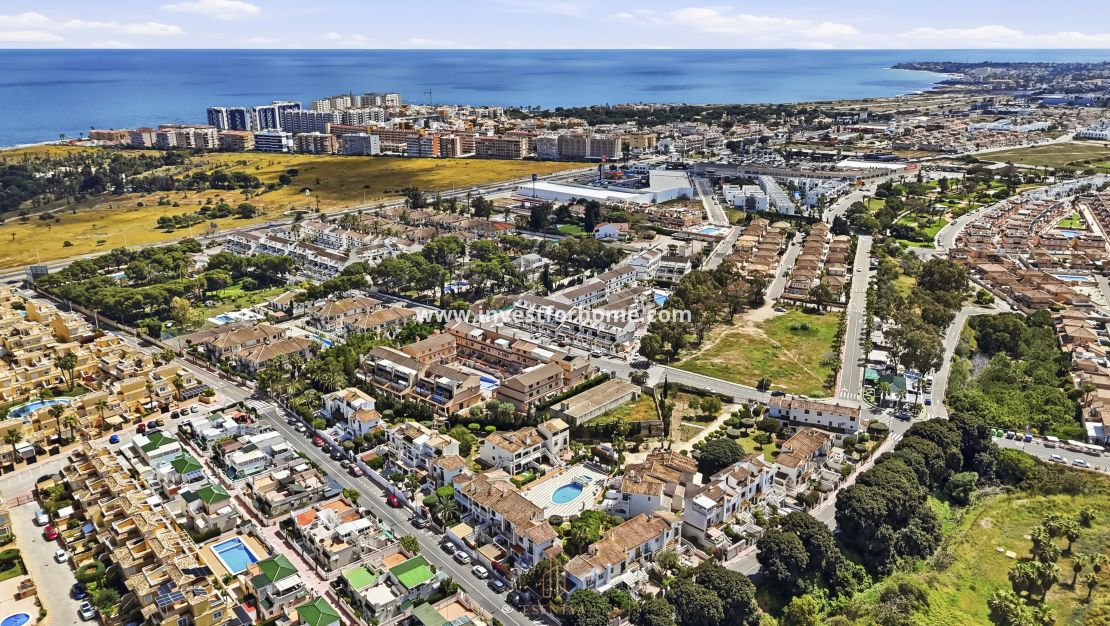 Vente - Maison - Torrevieja - Los Altos