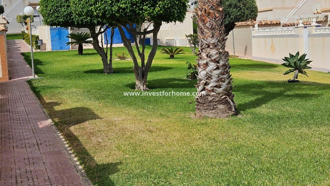 Vente - Maison - Torrevieja - Los Balcones - Los Altos Del Edén