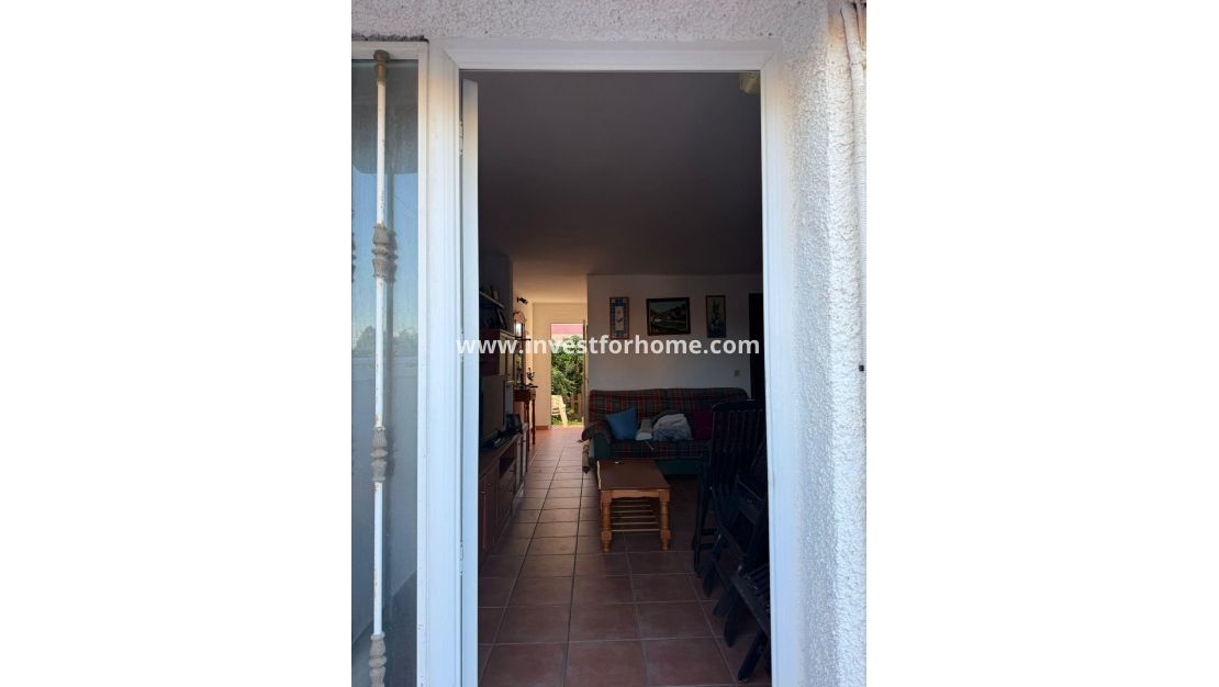 Vente - Maison - Torrevieja - Los Balcones