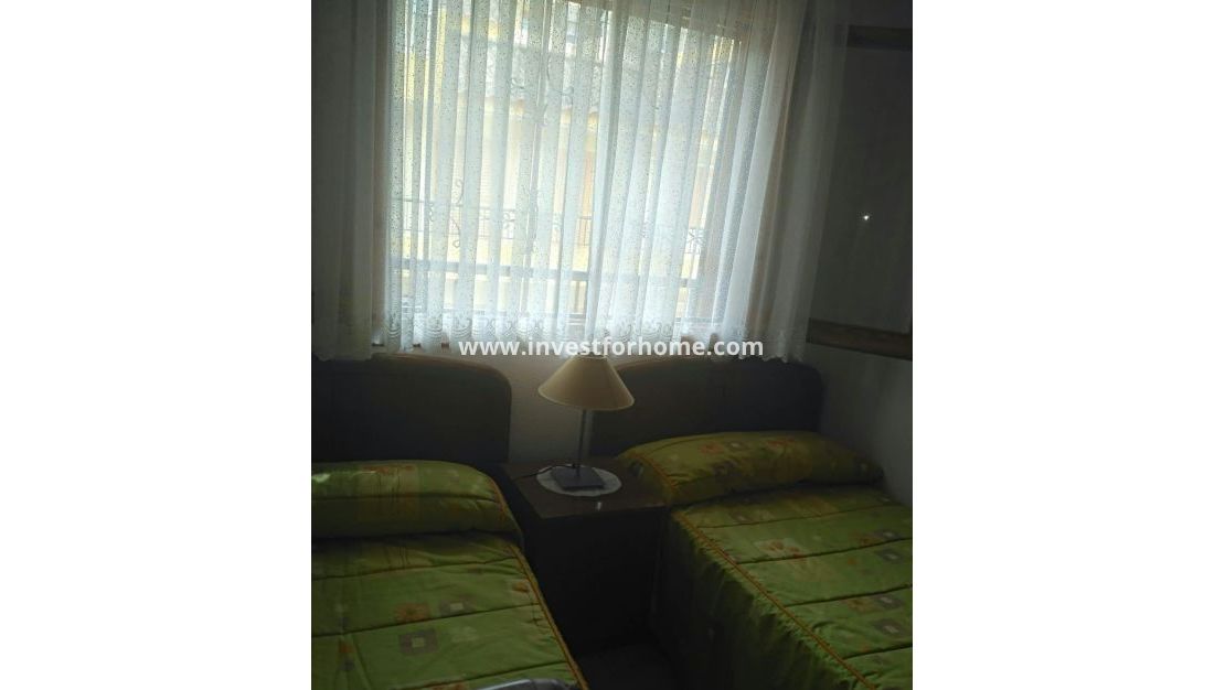 Vente - Maison - Torrevieja - Los Europeos