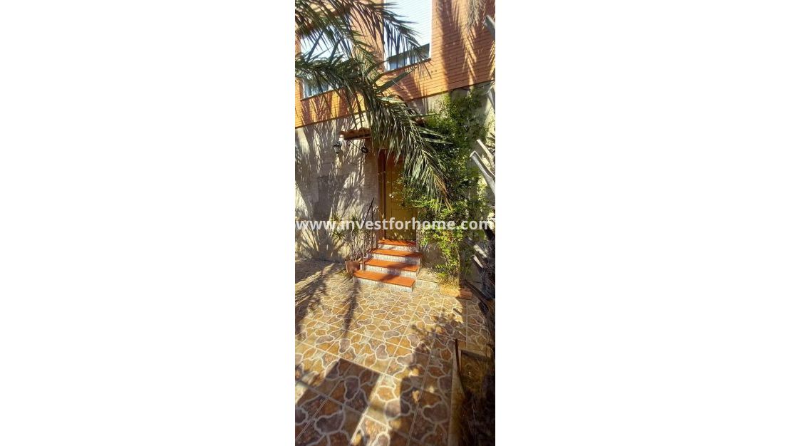 Vente - Maison - Torrevieja - Nueva Torrevieja - Aguas Nuevas