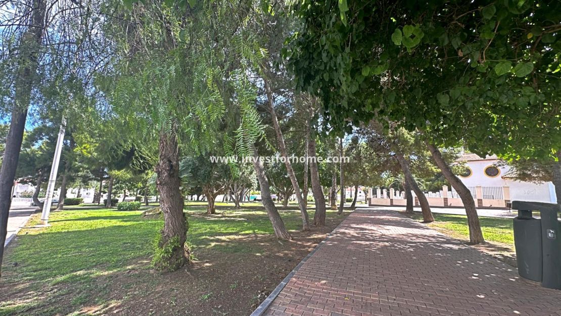 Vente - Maison - Torrevieja - Playa de los Locos