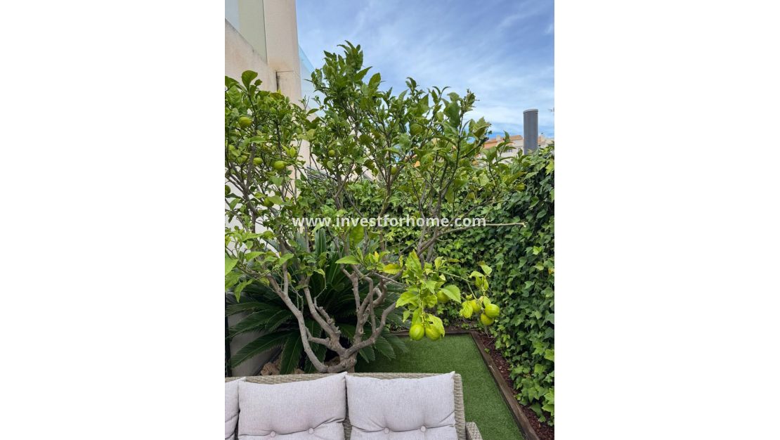 Vente - Maison - Torrevieja - Punta prima