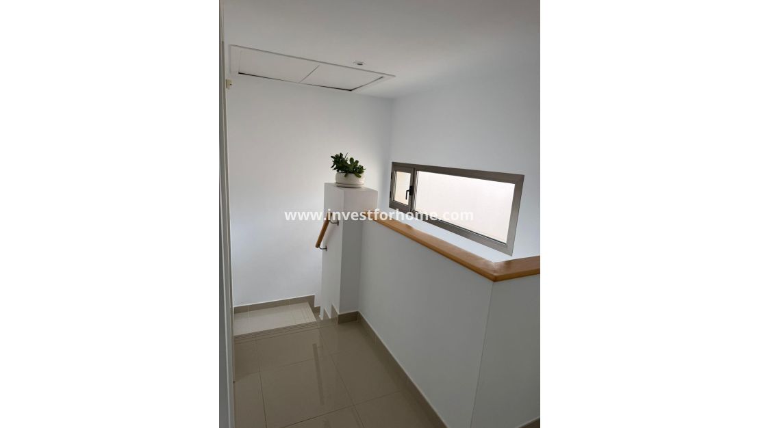 Vente - Maison - Torrevieja - Punta prima
