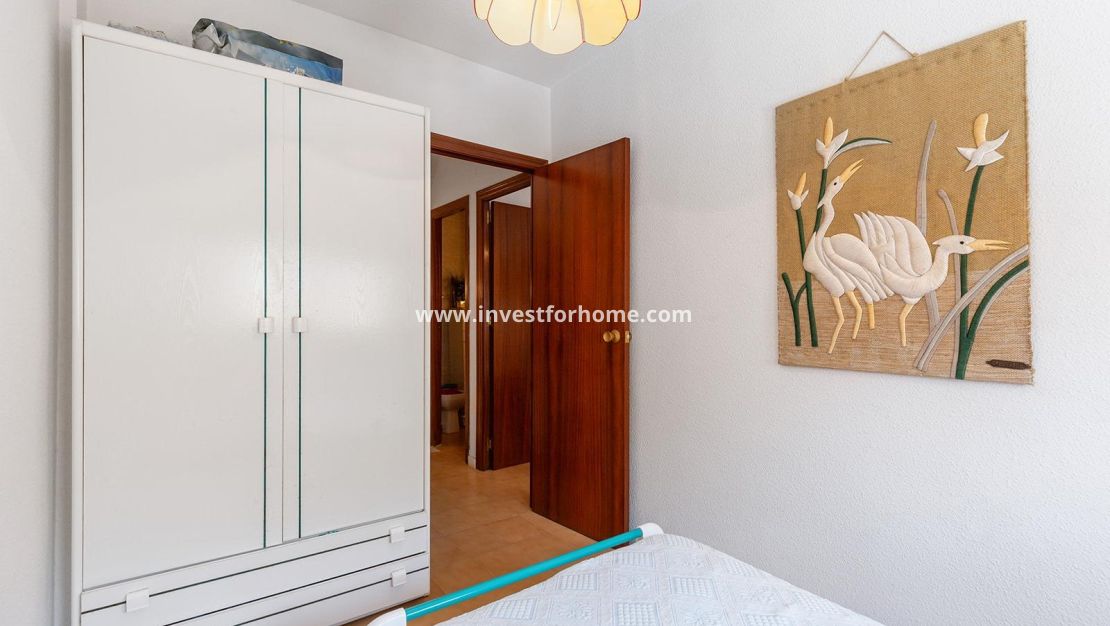 Vente - Maison - Torrevieja - Torrelamata - La Mata