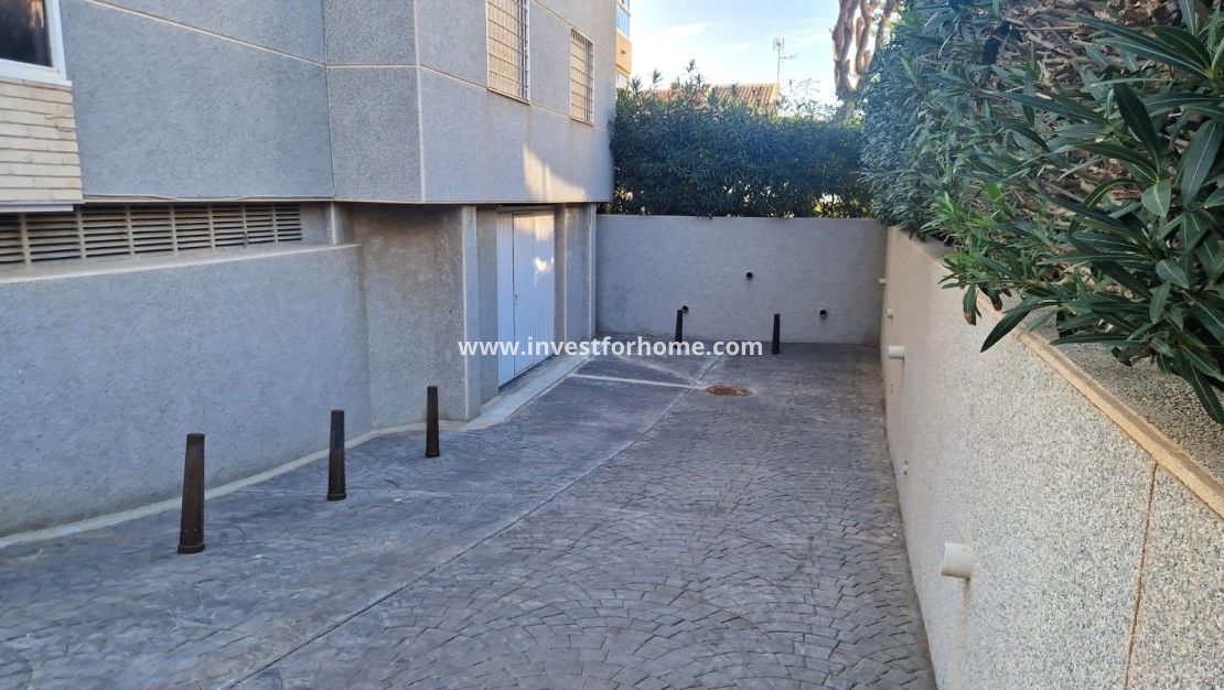 Vente - Maison - Torrevieja - Torrelamata - La Mata